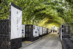 Arbil采集到文旅项目参考图
