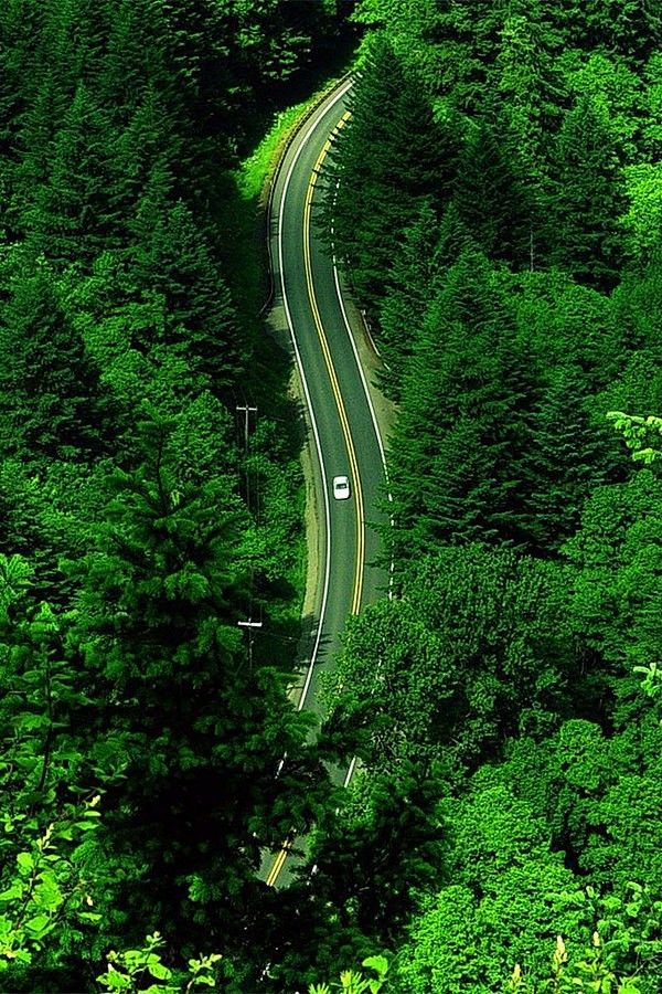 一路艰辛，
一路风景