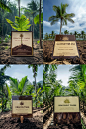 debule_Certificate_of_Cooperative_Planting_BaseThe_text_message_fc479864-4573-45d6-ac9b-9640b6326697
