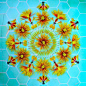 Flower Mandalas by Kathy Klein http://t.cn/RZGiTRj