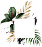 平铺奢华烫金英文字母水彩热带植物绿叶PNG免抠海报素材 (1)