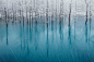 蓝色的池塘和第一场雪   摄于日本北海道  作者 Kent Shiraishi