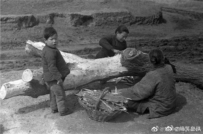 1942年中国大饥荒人在各种吃树皮
