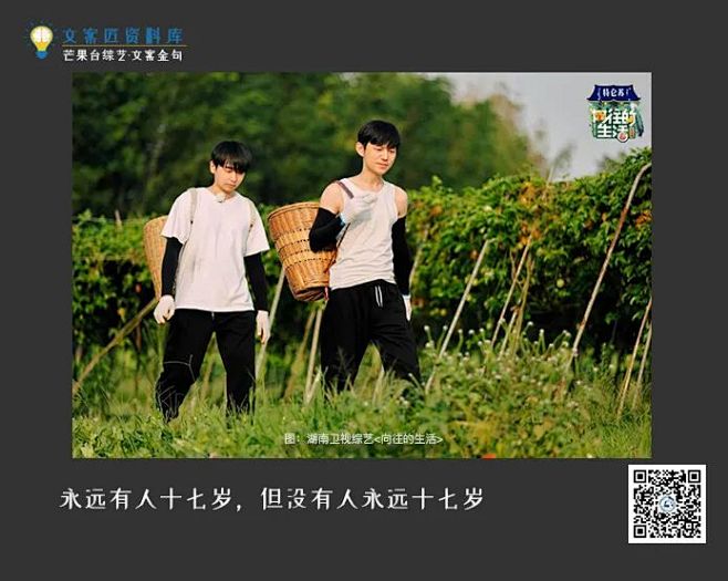 《向往的生活》金句，喜欢这50句文案 :...