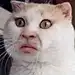 等我熬出了头发