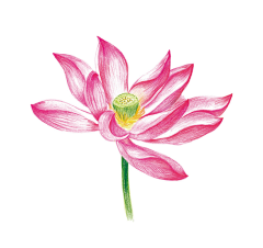 好孩子乖乖!采集到素材√小说封面√花朵