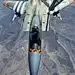 F - 15 攻击鹰
