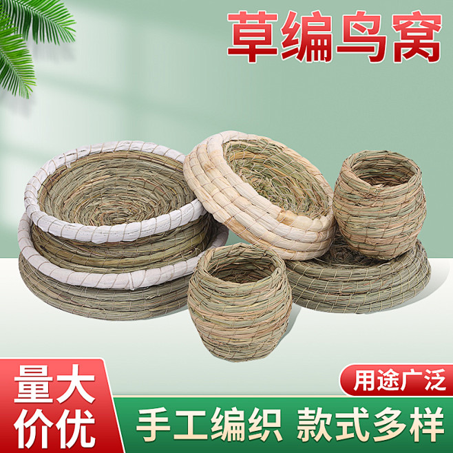 鸟窝
