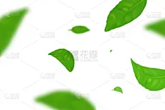 叶子,矢量,绿色,绘画插图,式样,背景,饮料,农业,清新,自然界的状态