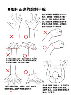 羊羊羊丶羊采集到手