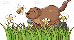 isolated picture beaver on rock