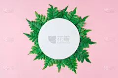 创意概念绿色树叶与圆形纸卡便条。自然的概念。平的。