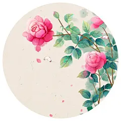PSD 手绘月季花开