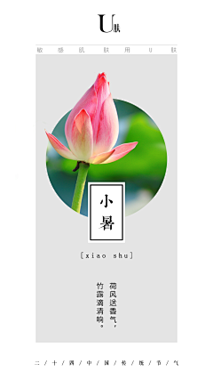 什么南北采集到什么南北的原创画板