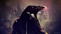 birds crow artwork - Wallpaper (#2960441) / Wallbase.cc