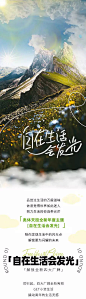 自在生活会发光微信公众号推文-源文件
