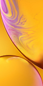 iPhone XR 壁纸