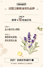 olio-手持卡