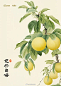 来自分享
