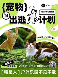 谭六件采集到小红书-微淘