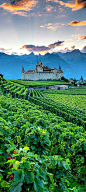 Chateau D’Aigle, Switzerland.: 