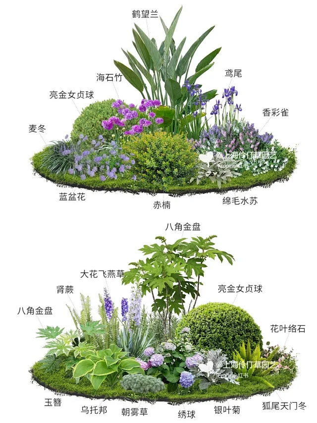 炎热夏季小花镜植物搭配·省心低维护太绝啦 - 小红书