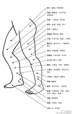 张周周-采集到、       养生