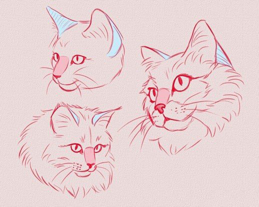 #资源君# 一组猫科动物画法参考！拿去练...