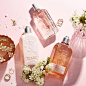 L'OCCITANE en Provence (@loccitane)'s Instagram Profile | Tofo.me · Instagram网页版