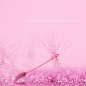 Think Pink