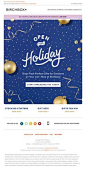 Newsletter Birchbox - It&#;39s Happening! Shop Holiday Gifts Galore at Birchbox
