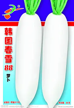 包装设计 萝卜 白萝卜 春不老 菜 蔬菜 种子 包装  袋子 纸袋 包装图  菜种 设计作品源文件 PSD分层素材 源文件 300DPI PS设计者：马啁喜时间：2011.12地点：成都