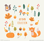 清新秋季植物和动物元素