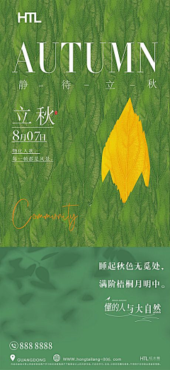 尼亚丶采集到海报图