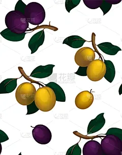 李子,水果,绿色,可爱的,华丽的,清新,纺织品,熟的,壁纸,自然美