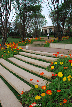 植物配置#zoscape#阶梯植物景观文人黑客采集到台阶—草阶采集文人