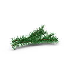 顾荔采集到植物透明图