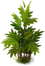 吹试试采集到T_图标植物