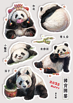 ※※N采集到熊猫