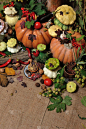秋天,背景,农作物,垂直画幅,美,胡瓜,纹理效果,肉豆蔻,无人,九月
