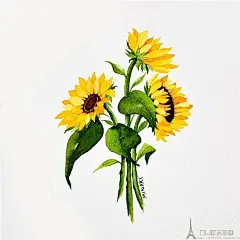 国外画师Mina小清新写实水彩花卉植物水果插画手绘临摹素材125张-淘宝网