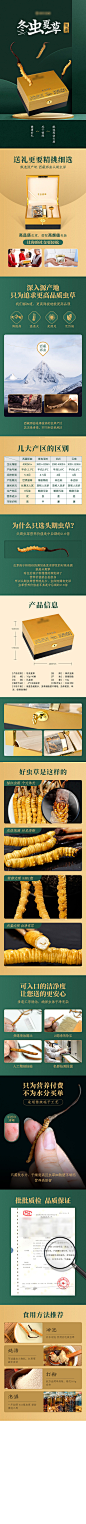 冬虫夏草促销详情页-志设网-zs9.com
