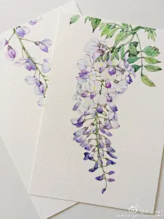 水彩画 手绘 插画 女孩 作者微博by 那仁-sun 小清新 少女心  花 童话 
