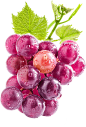 png紫葡萄绿葡萄酒水果素材(321×474)