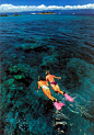 潜水大堡礁，澳大利亚