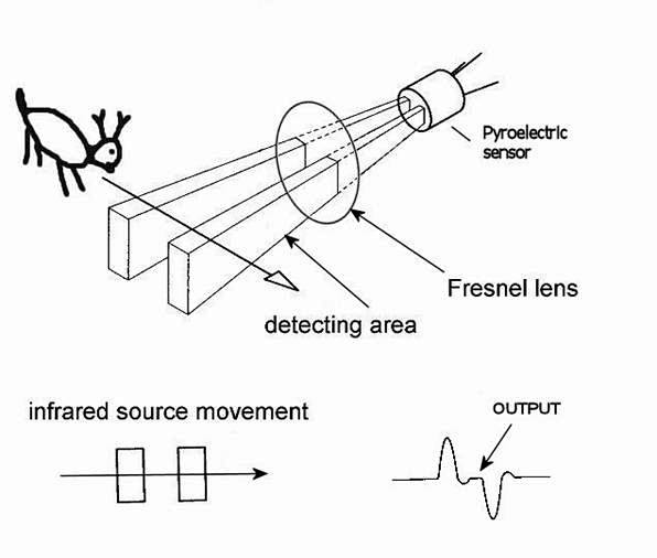 How Infrared Motion ...