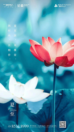 上海诗邑广告采集到地产-夏至