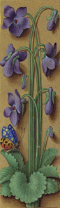 Les Grandes Heures d'Anne de Bretagne, illuminated in Tours or perhaps Paris by Jean Bourdichon between 1503 and 1508; more than 300 pages have large borders illustrated with a careful depiction of, usually, a single species of plant.