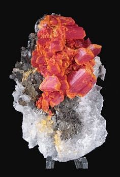 Minerals (new) (warm...