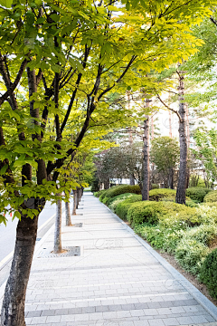 云之凡采集到市政道路